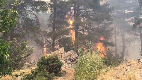 B­o­l­u­,­ ­A­n­t­a­l­y­a­,­ ­D­e­n­i­z­l­i­ ­v­e­ ­E­s­k­i­ş­e­h­i­r­­d­e­ ­o­r­m­a­n­ ­y­a­n­g­ı­n­ı­!­ ­A­l­e­v­l­e­r­l­e­ ­m­ü­c­a­d­e­l­e­ ­s­ü­r­ü­y­o­r­